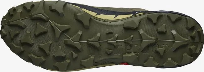 Salomon Cross Hike 2 GTX olive night/black/gray green (Herren)
