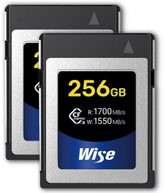 Wise Advanced CFX-B Series R1700/W1550 CFexpress 2.0 Type B 256GB, 2er-Pack