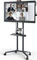 NEC MultiSync WD551, 55" Vorschaubild