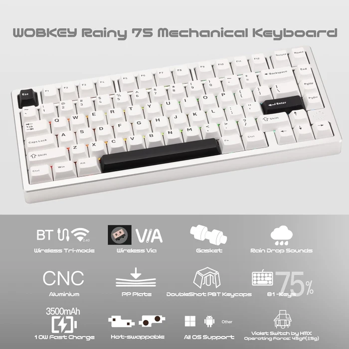 Wobkey Rainy 75 Standard, weiß/silber, LEDs RGB, HMX Violet Linear, USB/Bluetooth, US