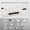 Wobkey Rainy 75 Standard, weiß/silber, LEDs RGB, HMX Violet Linear, USB/Bluetooth, US Vorschaubild