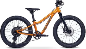 Academy Bikes Trail 4 amber