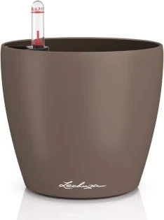 Lechuza Classico Color 14 muskat