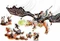 LEGO Ninjago - Drache des Totenkopfmagiers Vorschaubild