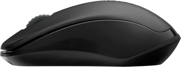 Rapoo 1680 Silent schwarz, USB