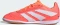 adidas Predator Club Sala IN signal coral/cloud white/beam orange (Junior) Vorschaubild