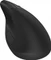 HP 925 Ergonomic Vertical Mouse schwarz, USB/Bluetooth Vorschaubild