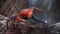 Marvel's Spider-Man - Game of the Year Edition (PS4) Vorschaubild