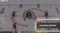 EA Sports NHL 23 (Xbox One/SX) Vorschaubild
