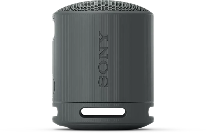 Sony SRS-XB100