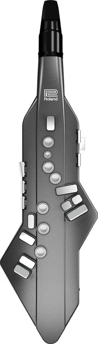 Roland Aerophone GO