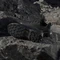 adidas Terrex Skychaser Ax5 core black/carbon (Herren) Vorschaubild