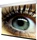 WS Spalluto WS S NewMot Aufpro Motorleinwand 340x191cm (17275)