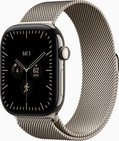 Apple Watch Series 12 (GPS + Cellular) 46mm Titan natur mit Milanaise-Armband M/L natur