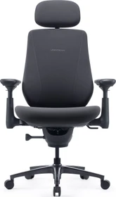 LiberNovo Maxis Electric, graphit