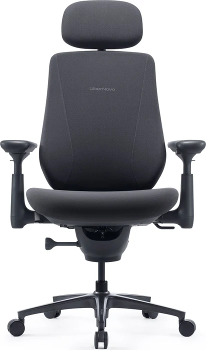 LiberNovo Maxis Electric, graphit