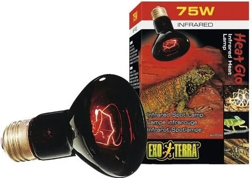 Exo Terra Reptile Infrared Basking Spot, Halogen Wäremlampe