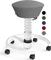 Aeris Swopper Air New Edition Bürohocker mit Rollen, Feder Standard, Gestell Alu weiß, Bezug Mesh-Gewebe grau Vorschaubild