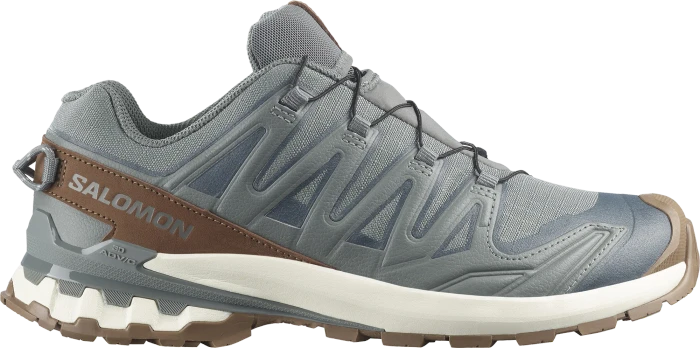 Salomon XA Pro 3D V9 GTX Lifelong sedona sage/coyote brown/vanilla ice (Herren)