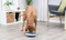 Trixie Slow Feeding Napf Rocking Bowl Vorschaubild