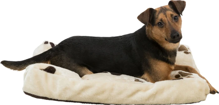 Trixie Kissen Joey, 60x40cm, beige