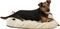 Trixie Kissen Joey, 60x40cm, beige Vorschaubild