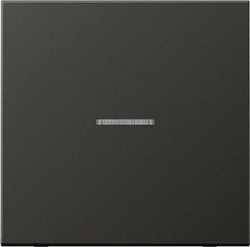 Jung Serie LS Wippe mit Lichtleiter 1fach, anthrazit