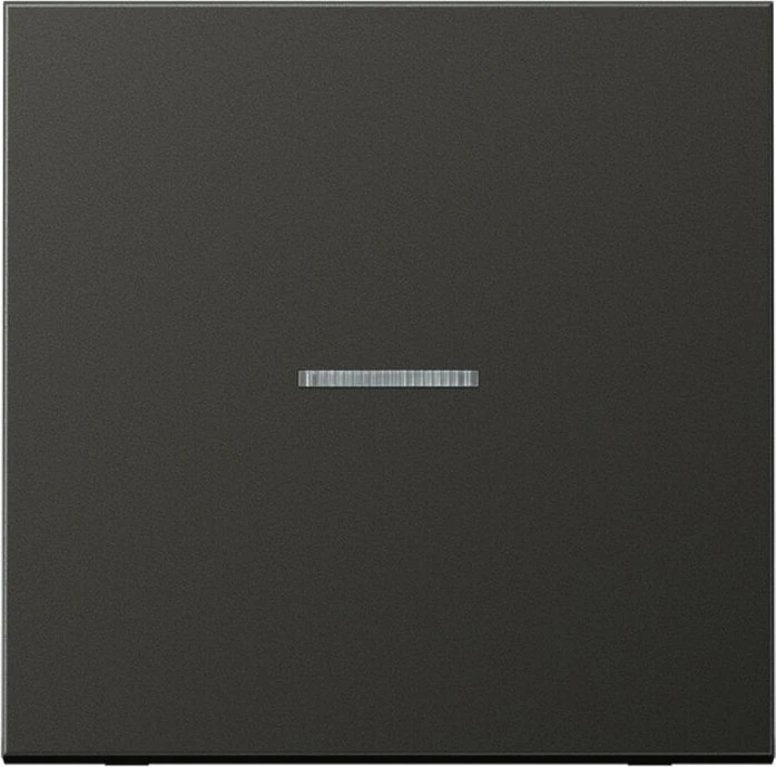 Jung Serie LS Wippe mit Lichtleiter 1fach, anthrazit