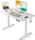 Fezibo Basis elektrisch höhenverstellbarer Sitz-Steh-Schreibtisch 100x60cm weiß/weiß