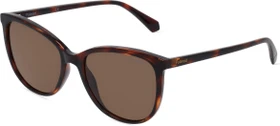 Polaroid PLD 4138/S havanna dunkel/braun (Damen)