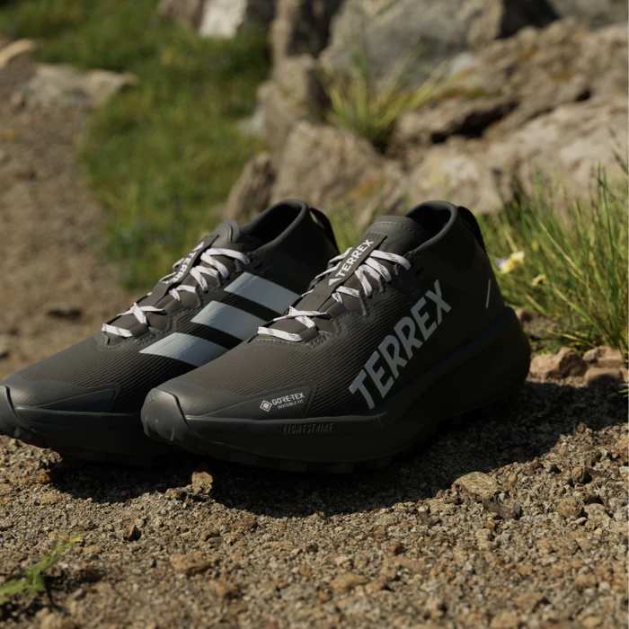 adidas Terrex Agravic GTX Trail core black/silver dawn/grey two (Damen)