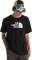 The North Face Evolution Half Dome T-Shirt kurzarm (Herren) Vorschaubild