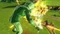 Dragon Ball Xenoverse 2 - Deluxe Edition (Download) (PC) Vorschaubild