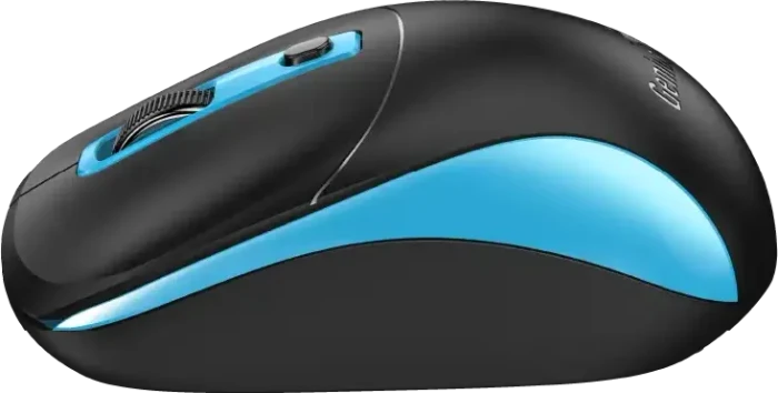Genius NX-7123 Copilot Wireless Optical Mouse schwarz/blau, USB