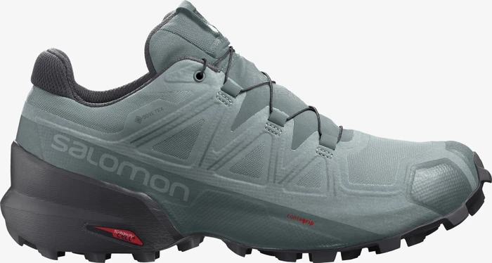 Salomon Speedcross 5 GTX slate/trooper/ebony (Herren)