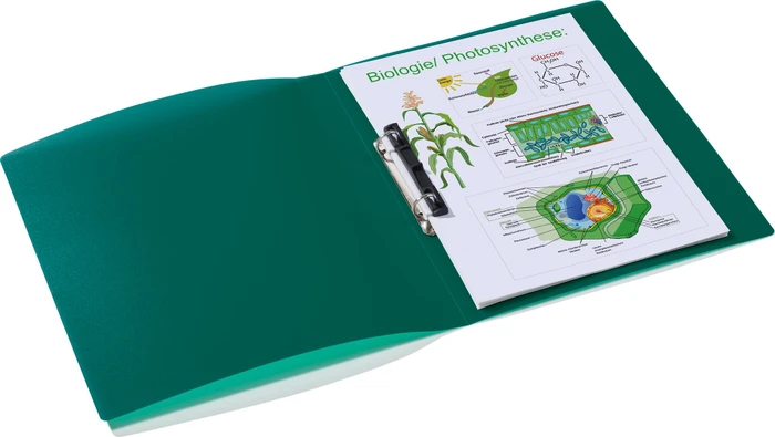 Herma Ringbuch 2-Ring, 25mm, A4, dunkelgrün/transparent, 3er-Pack