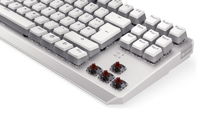 Endorfy Thock TKL Pudding, Onyx White, PBT, LEDs RGB, Kailh BROWN, USB, DE