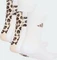 adidas Leo Graphic Socken crystal linen/khaki six/dark brown, 3 Paare Vorschaubild