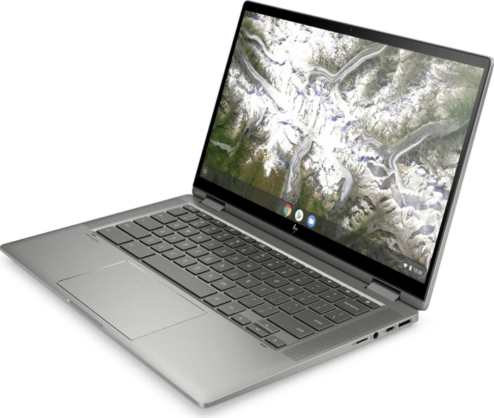 HP Chromebook x360 14c-ca0220ng, Mineral Silver, Pentium Gold 6405U, 4GB RAM, 64GB Flash, DE