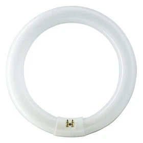 Philips Master TL-E Circular G10q 22W/840 1CT/12