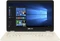 ASUS ZenBook Flip UX360CA-C4183T, Icicle Gold, Core m3-7Y30, 8GB RAM, 256GB SSD, DE Vorschaubild