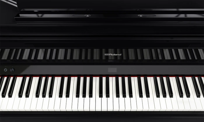 Roland GP-9 schwarz