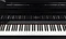 Roland GP-9 schwarz Vorschaubild