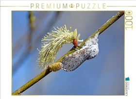 Calvendo Großer Gabelschwanz (Cerura vinula)