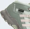 adidas Terrex Mid GTX linen green/putty mauve/silver green (Junior) Vorschaubild