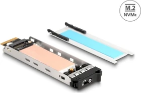 DeLOCK M.2 NVMe Einschub/Carrier für Wechselrahmen