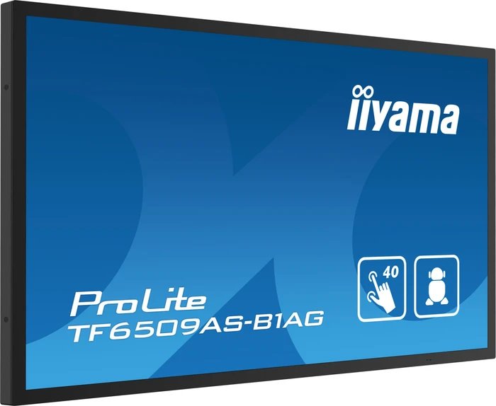 iiyama ProLite TF6539AS-B1AG, 65"