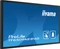iiyama ProLite TF6539AS-B1AG, 65" Vorschaubild