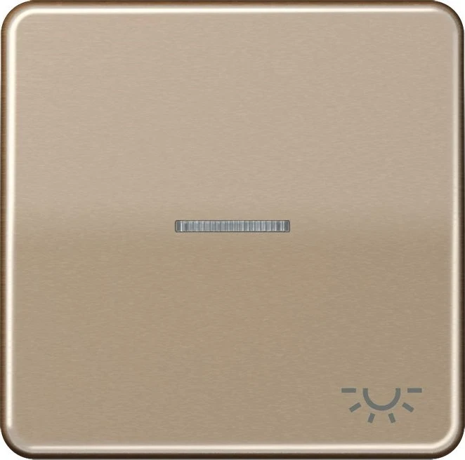 Jung Serie CD Wippe Metall mit Symbol "Licht" und Lichtleiter, gold-bronze