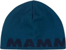Mammut Logo Beanie deep ice/marine